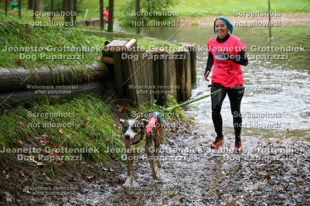 Dog Paparazzi -  SD1026-8503 | Dog Paparazzi Jeanette Grottendiek Fotografie & Videografie - Realisiert mit Pictrs.com