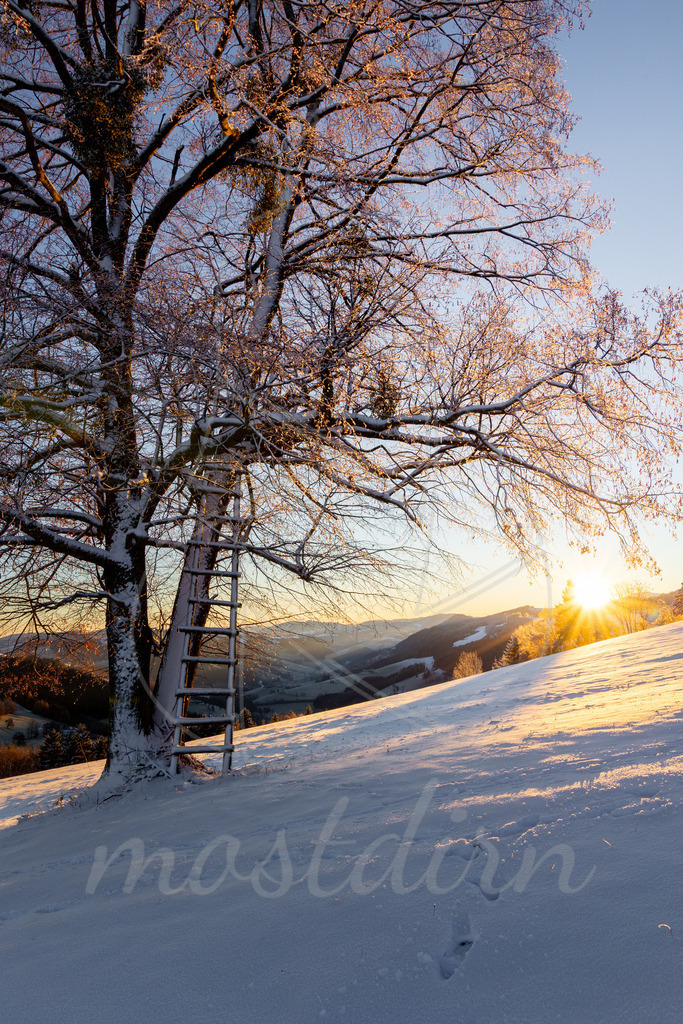 Winterwonderland Randegg | Ihre Fotografin im Lungau, ihre Fotografin im Mostviertel, Wandbilder Onlineshop, Imagefotos für Ihr Unternehmen,  - Realisiert mit Pictrs.com