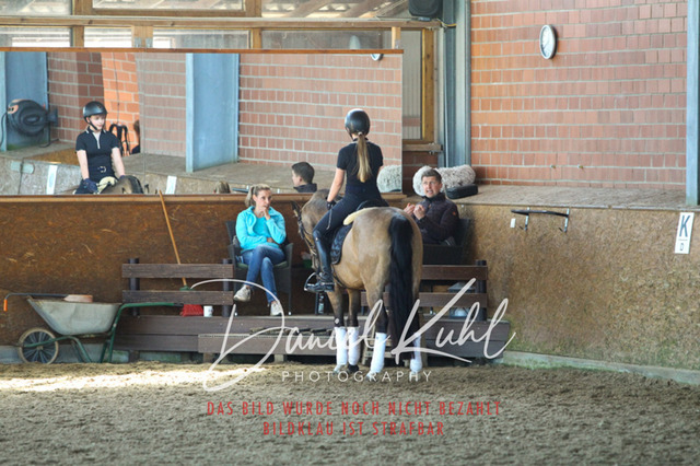 DKP42399 | Turniersportfotografie; Pferdefotografie; Dressurfotografie