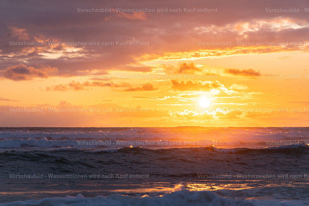 DSC02037 | marcuslinek