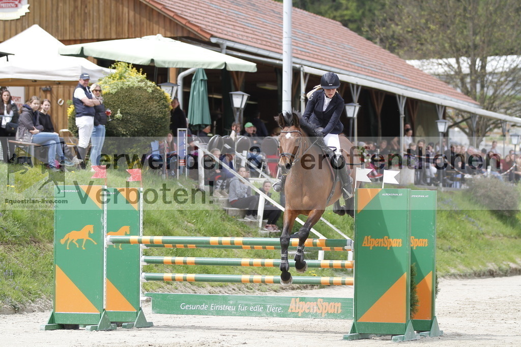 _MG_4029 | equestrian-live-com