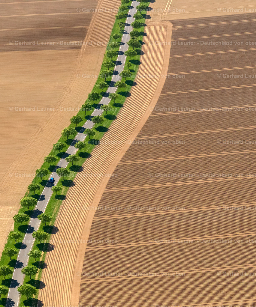 9300134 | Baum-undFeldstrukturen bei Münstermaifeld