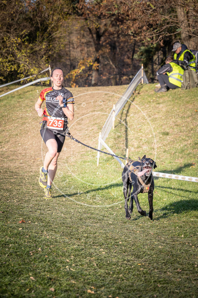 CaniXpix_0L8A9721 | Hundefotografie, Tierfotograf, Pfotenfotografie, Fotoshooting Hund, Hunde Portrait, Hundesport, Hundeportraits, Heideshooting, Hunde, Sportfotograf, Hundefotograf, Turnierhundsport, THS,  - Realisiert mit Pictrs.com