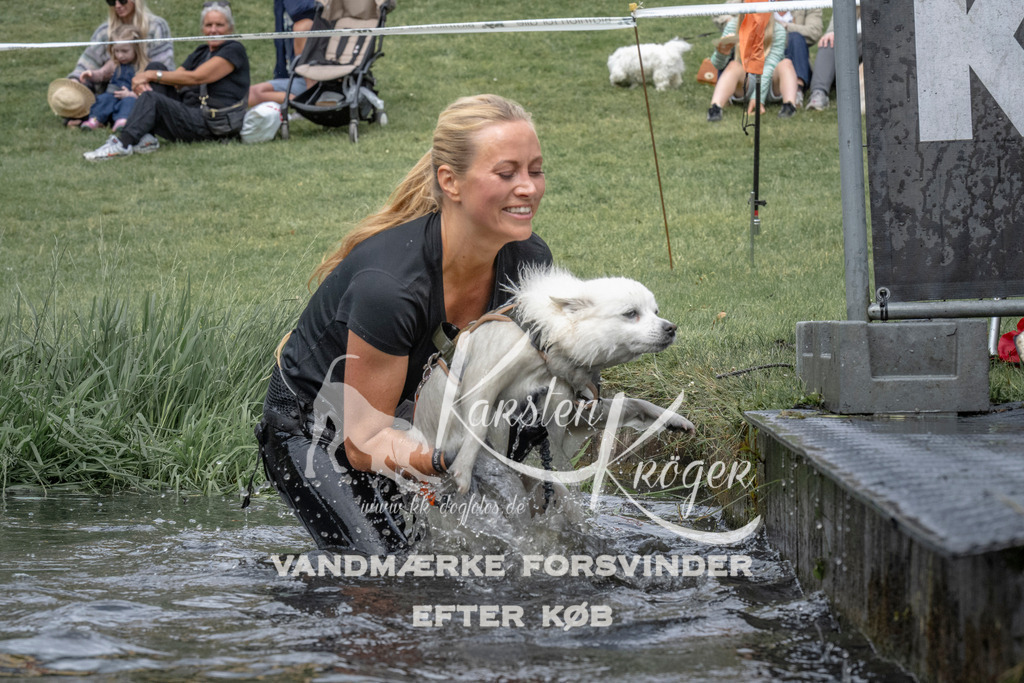 1139_ZZ93395 | kk-dogfotos