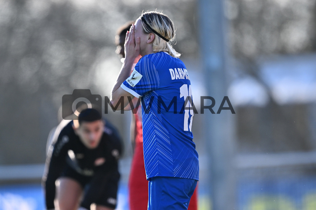 250305_EP__1929 | MWMARA - Realisiert mit Pictrs.com