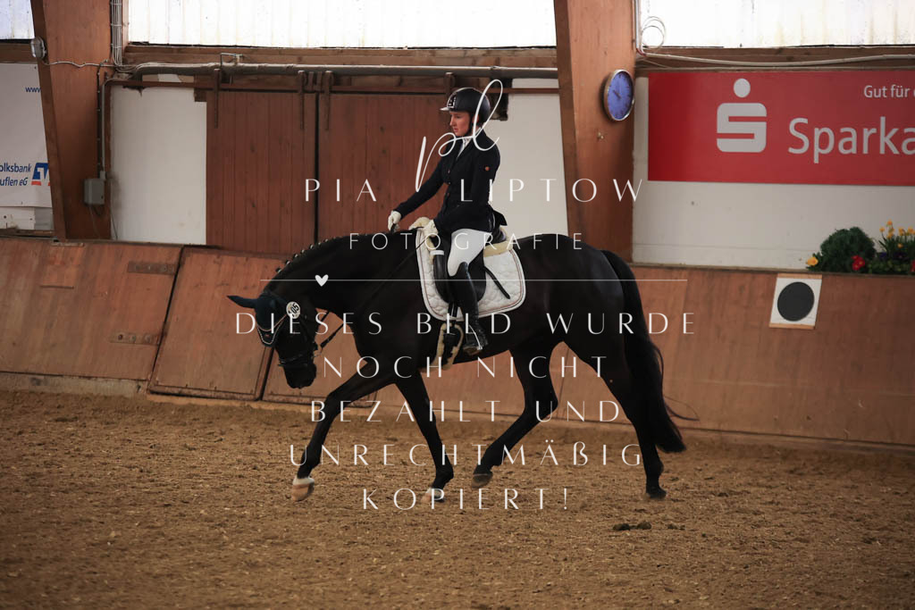 IMGT7078 | pl-fotografie