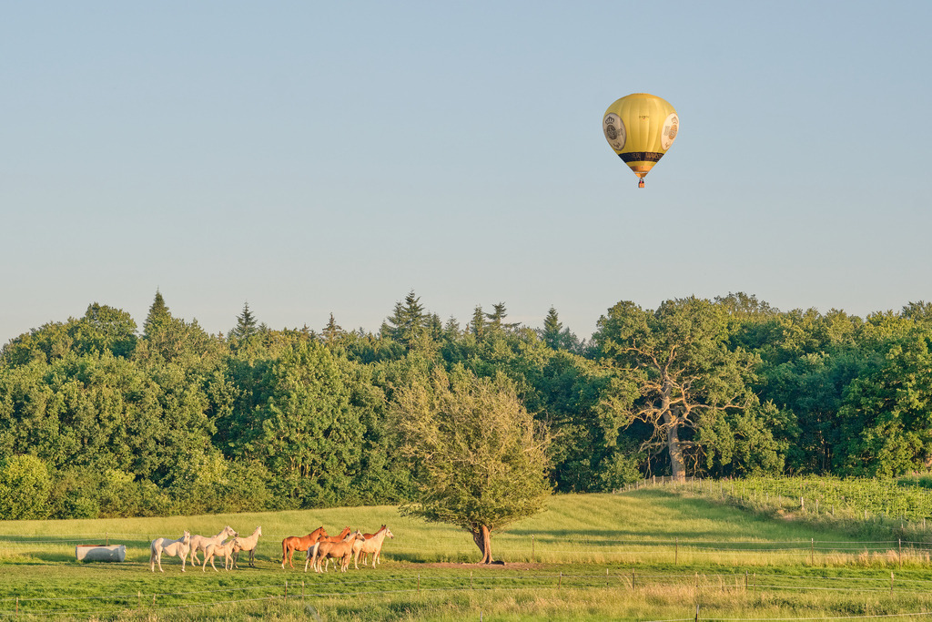 DSCF4554 | Entdecken Sie hochwertige Fotoprodukte für Ihr Zuhause, Büro oder als besonderes Geschenk.rpixel.de bietet Ihnen exklusive Fotografien aus den Bereichen Natur, Landschaft und Motiven vom Meer.Einfach direkt im Online-Shop bestellen. - Realisiert mit Pictrs.com