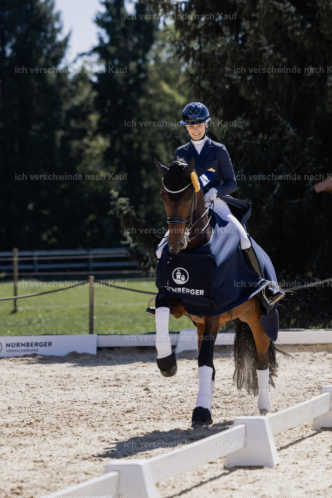 FHC2026_P12_Siegerehrung_19620 | working equitationturnier fotograf videograf stoibphotography marixx film working equitation deutschland reitsport turnierfotografie eventfotografie equestrian events