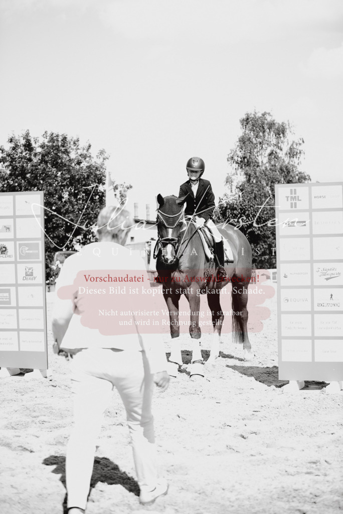 DSC_9721 | Pferde- und Turnierfotografie in Westsachsen. Pferdeportraits, Auftragszeichnungen und intuitive Kunst.