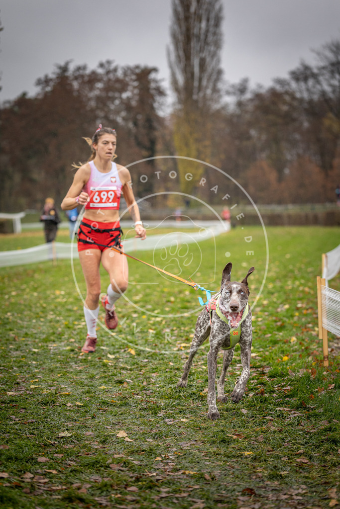 CaniXpix_DV3A9180 | Hundefotografie, Tierfotograf, Pfotenfotografie, Fotoshooting Hund, Hunde Portrait, Hundesport, Hundeportraits, Heideshooting, Hunde, Sportfotograf, Hundefotograf, Turnierhundsport, THS,  - Realisiert mit Pictrs.com