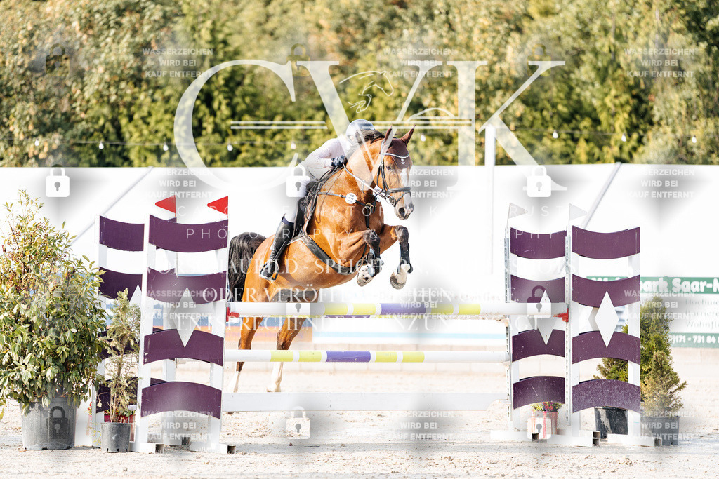 CK903326 | Turnierfotografie Pferdefotografie Trier Rheinland-Pfalz Pferdesport Reitsport Tierfotografie Sportfotografie Pferdevideo Pferdevideografie Equestrianvideography equestrianphotography  - Realisiert mit Pictrs.com