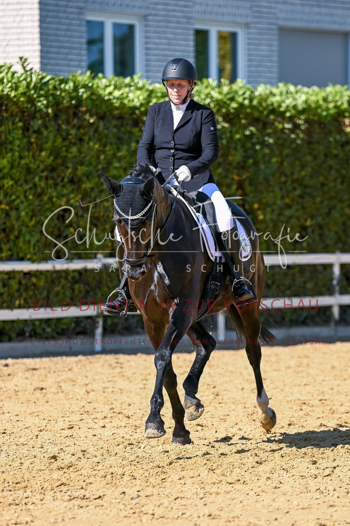 Schugtsche-Aluta25-50.Dressurpferdeprf.L-192 | Schugtsche Fotografie - Realisiert mit Pictrs.com