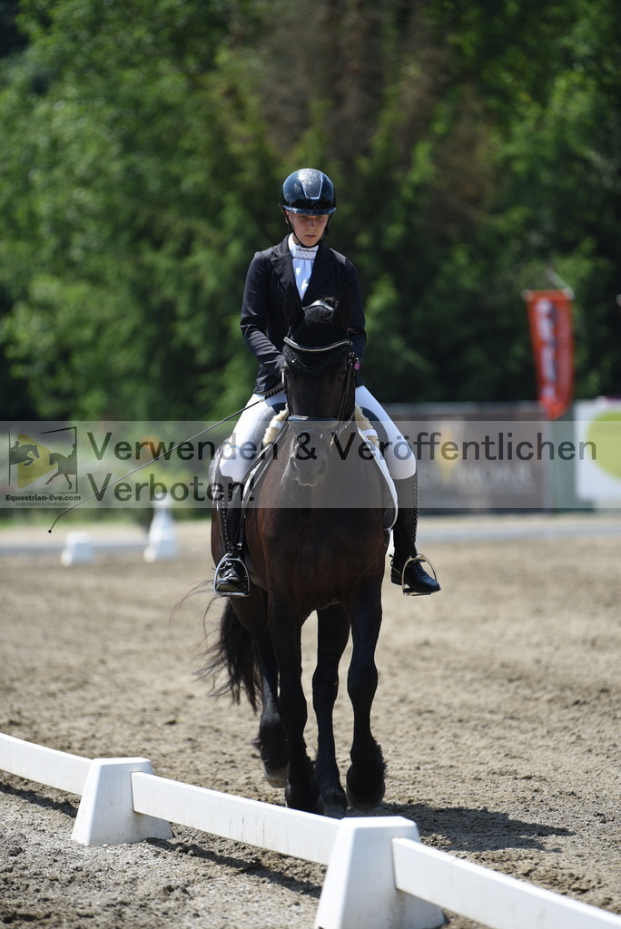 DSC_0535 | equestrian-live-com