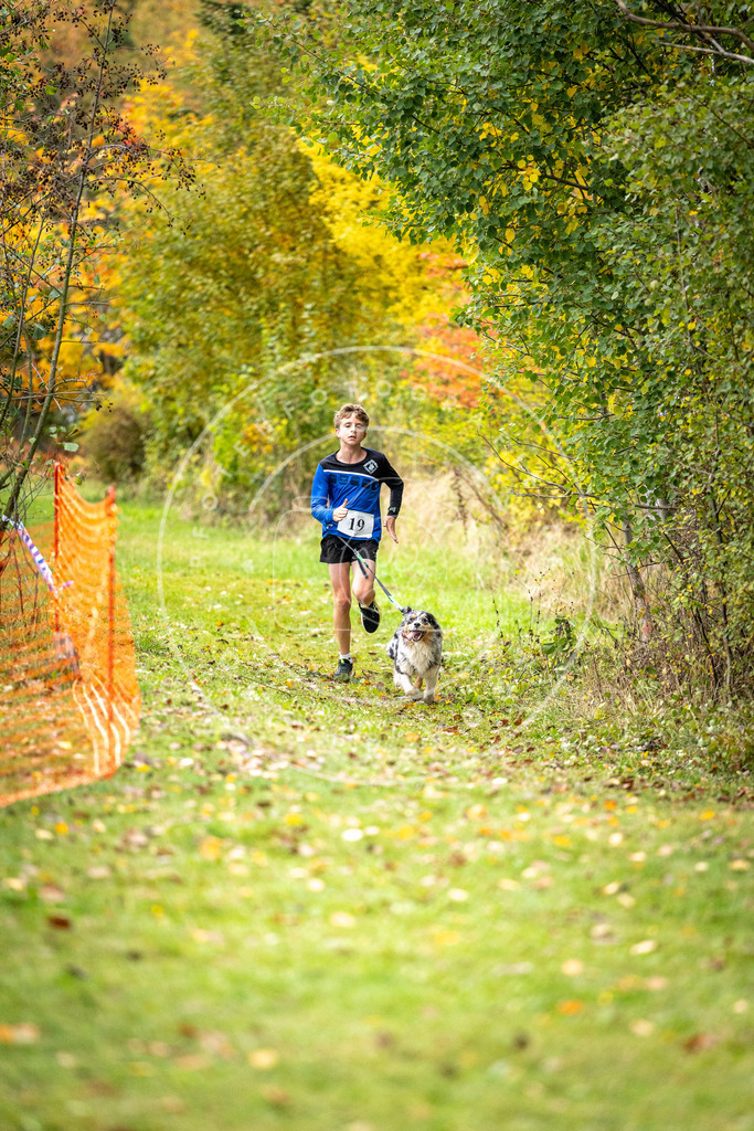 Pfotenfotografie_DV3A1907 | Hundefotografie, Tierfotograf, Pfotenfotografie, Fotoshooting Hund, Hunde Portrait, Hundesport, Hundeportraits, Heideshooting, Hunde, Sportfotograf, Hundefotograf, Turnierhundsport, THS,  - Realisiert mit Pictrs.com