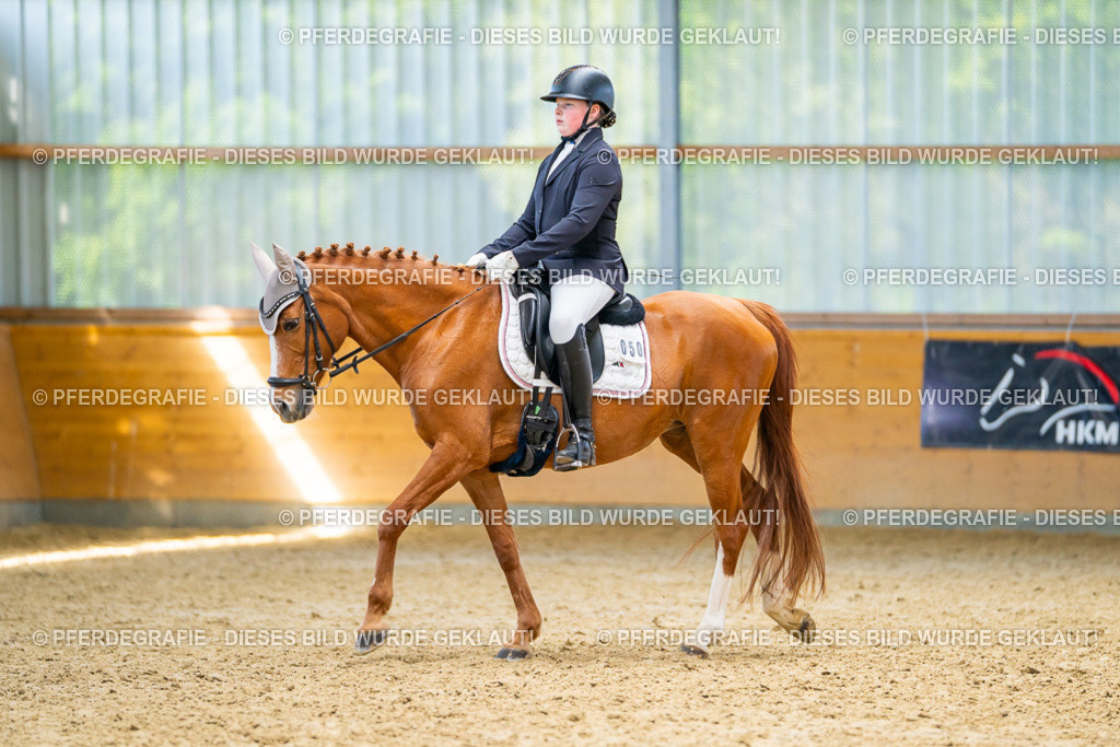 DSC08756 | Pferdegrafie