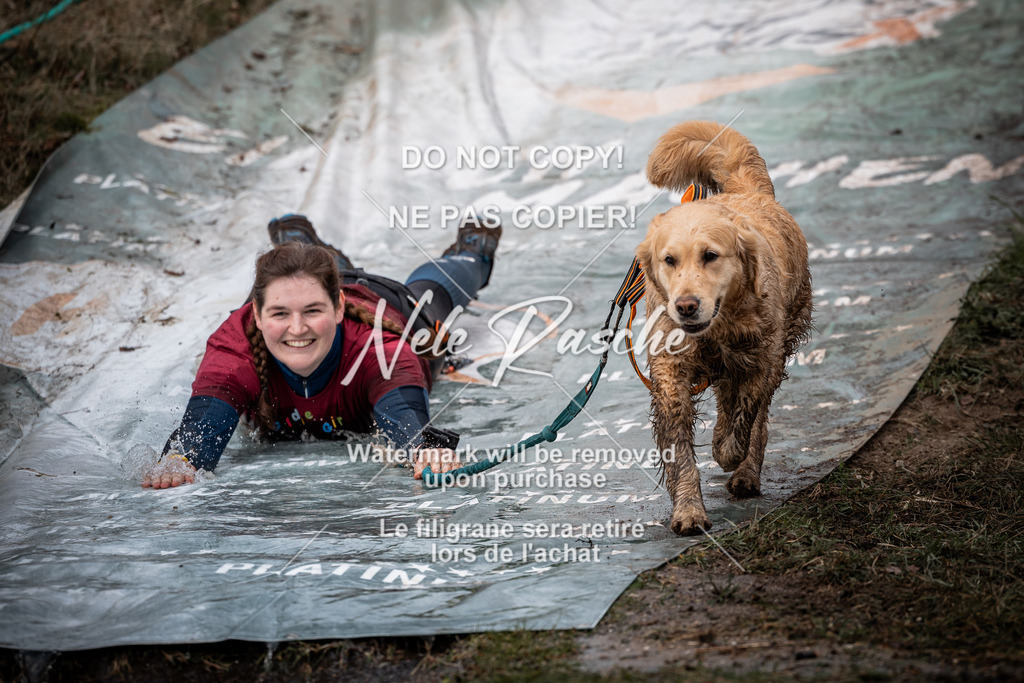 nelerasche_1330-1400_223 | nelerasche
