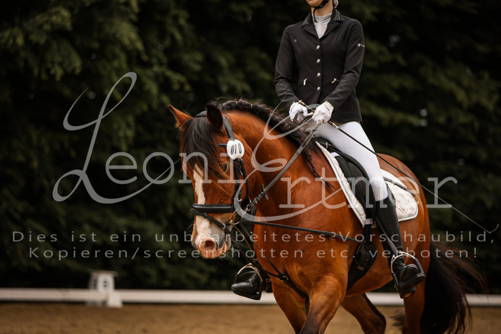 DoDrWB00009 | Leoni Ertmer Photography - Realisiert mit Pictrs.com