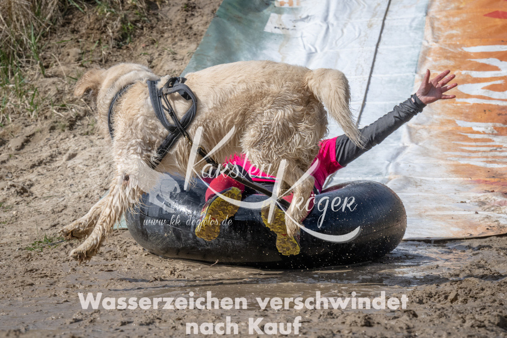 1135_ZZ94422 | kk-dogfotos