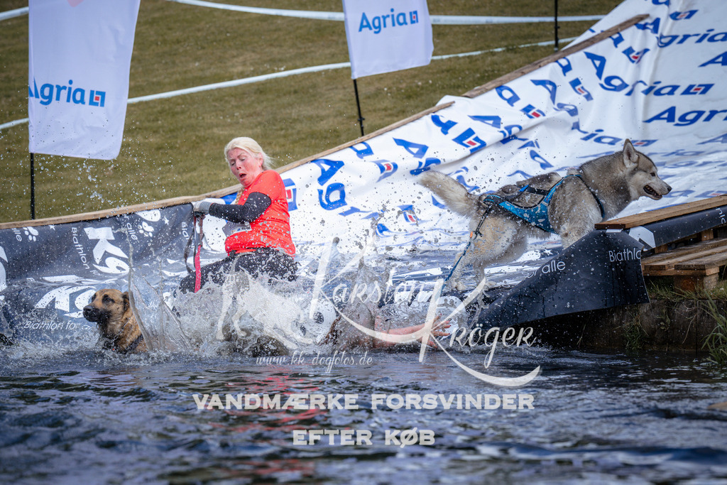 _ZZ911140911 | kk-dogfotos