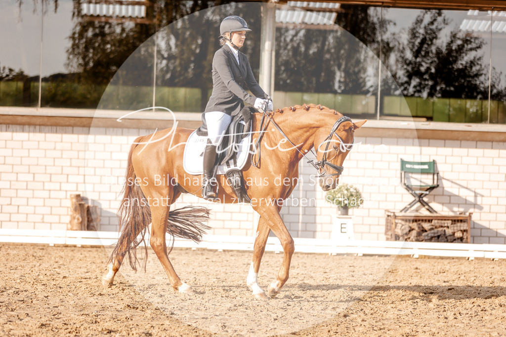 3I6A2544 | Stimmungsvolle Portraits und Reitsportfotografie im Ruhrgebiet und im Münsterland.

Pferdefotografie, Hundefotografie, Tierfotografie, Reportagen, Portraits von Tier und Mensch, Turnierfotografie in Bochum, Recklinghausen, Marl, Haltern am See, Dülmen.. - Realisiert mit Pictrs.com