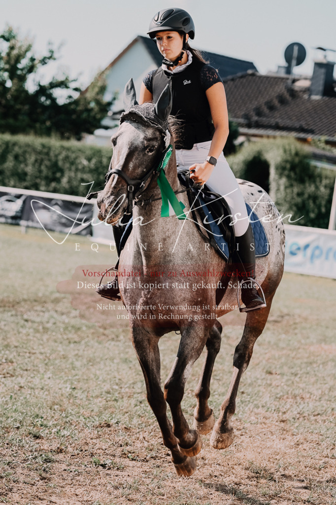 DSC_4960 | Pferde- und Turnierfotografie in Westsachsen. Pferdeportraits, Auftragszeichnungen und intuitive Kunst.