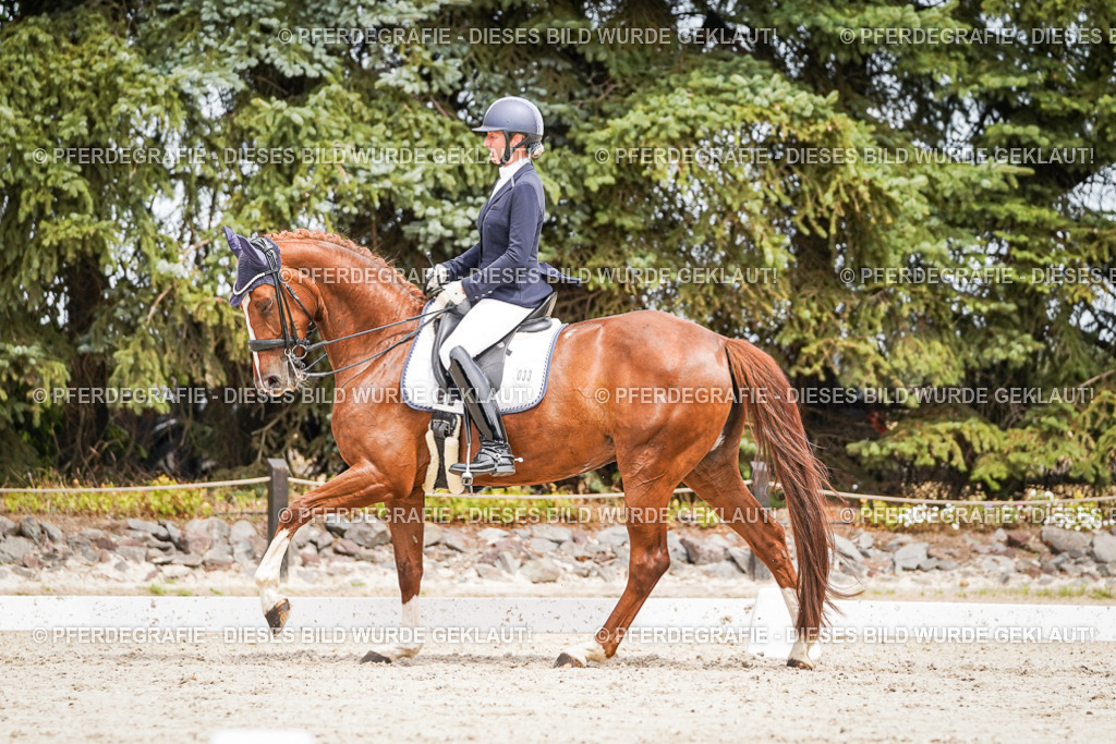 DSC05106 | Pferdegrafie