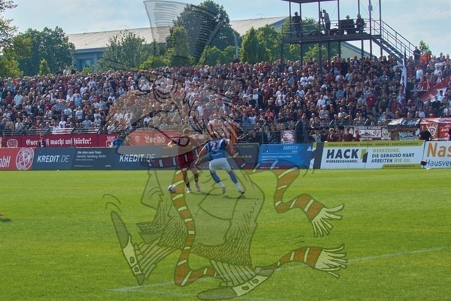 BFC Dynamo vs. FC Energie Cottbus 075 | mythos-online-redaktion