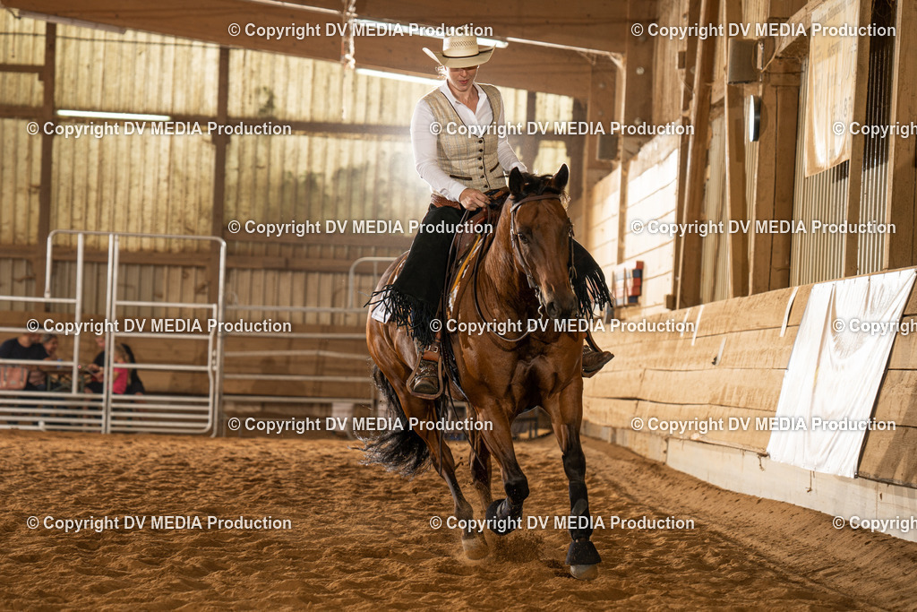 NID01675 | dv-media-shop - Realisiert mit Pictrs.com