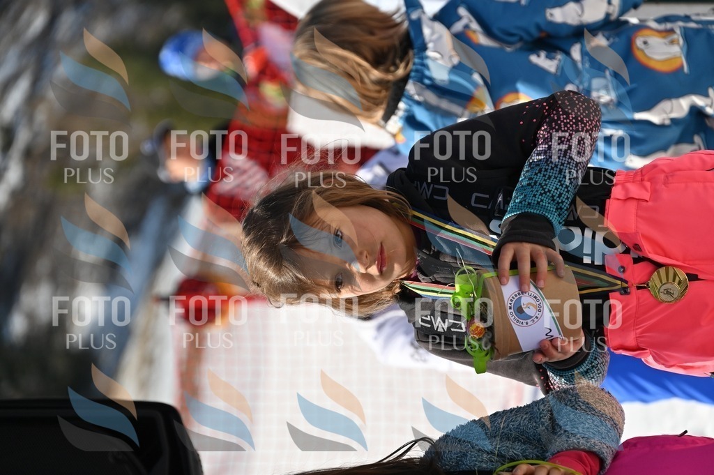 C7154 | holidayphoto