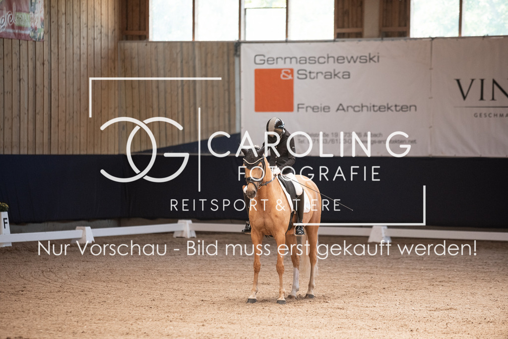 DSC_3267 | Carolin Gieschke