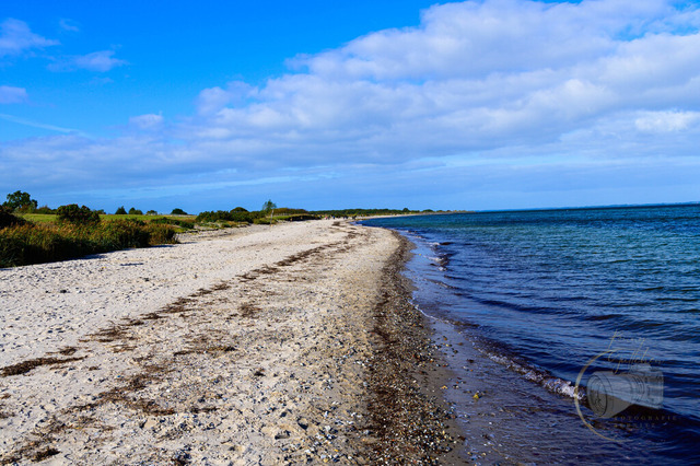 _DSC3125-2 | Shop für Prints Landschaftsfotografie Sächsische Schweiz Naturfotografie in Thüringen Fotos vom Findlingspark Nochten Kloster Sankt Marienstern Bilder Festung Königstein PanoramaRhododendronpark Kromlau FotogalerSchleswig-Holstein Küstenlandschaften