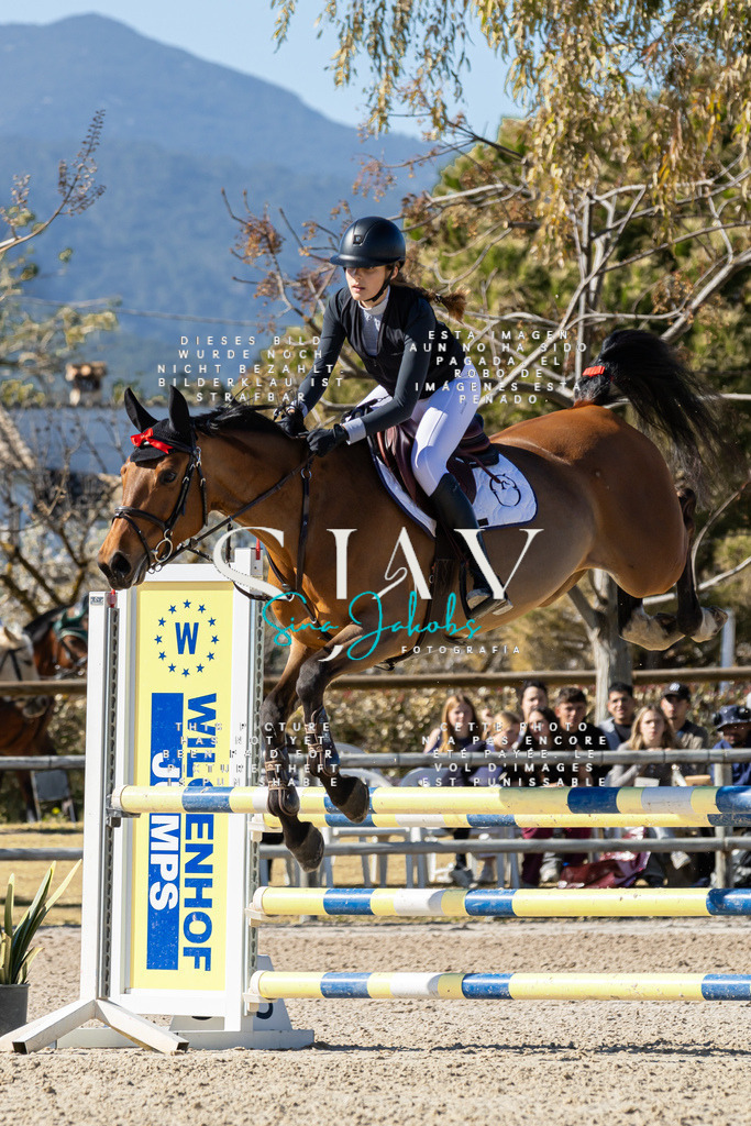 IMG_0874 | s-jay-photography - Realisiert mit Pictrs.com