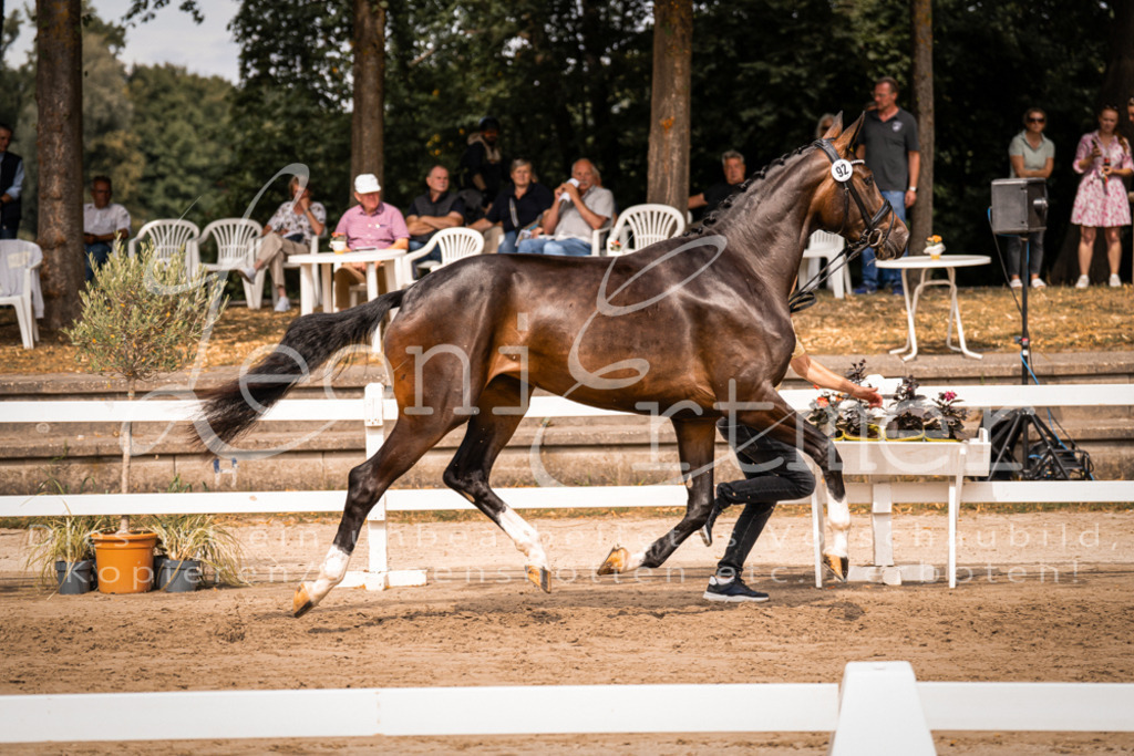 6.Fr00028 | Leoni Ertmer Photography - Realisiert mit Pictrs.com