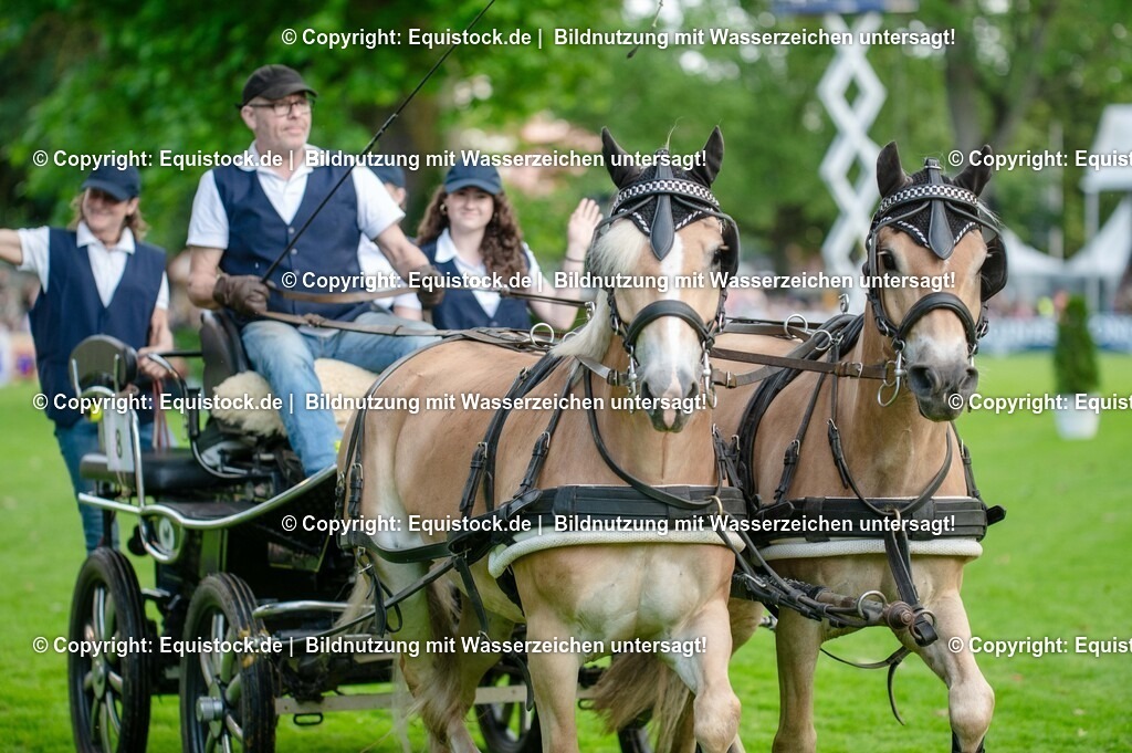 20250606_Lange-Pferdenacht_0073-2 | Foto: Thomas Hartig