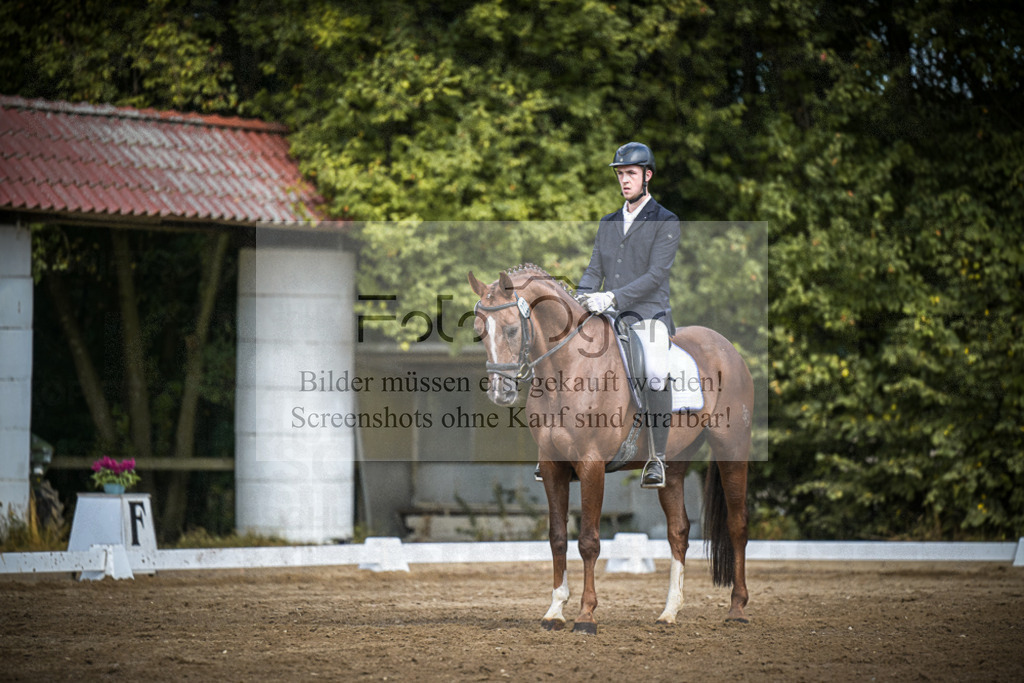 DOS_0366 | Entdecke hochwertige Reitturnierfotos von Foto Oger. Professionell, emotional und authentisch – jetzt Lieblingsmomente im Shop bestellen.Deutschlandweite Turnierfotografie. - Realisiert mit Pictrs.com