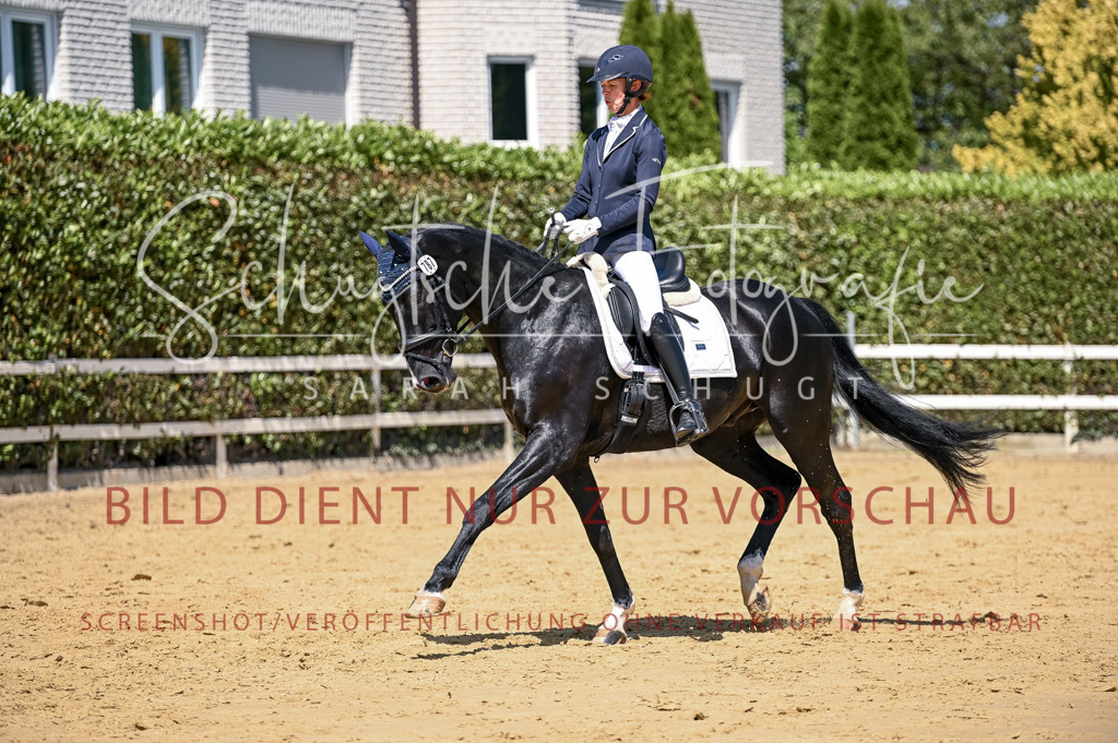 Schugtsche-Aluta25-49.Dressurpferdeprf.A-286 | Schugtsche Fotografie - Realisiert mit Pictrs.com