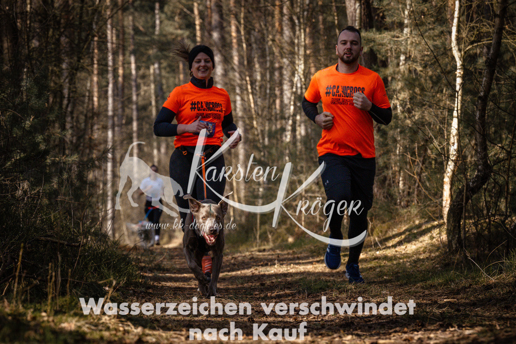 1138_ZZ91489 | kk-dogfotos