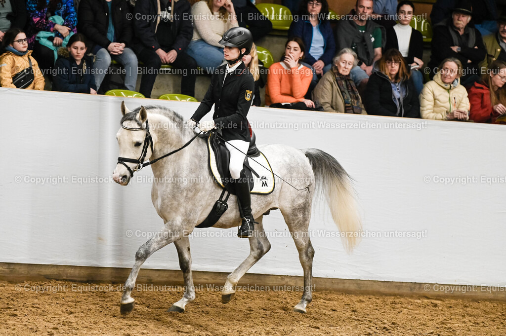 20260307_Hengstvorstellung-Marbach_0418 | equistock
