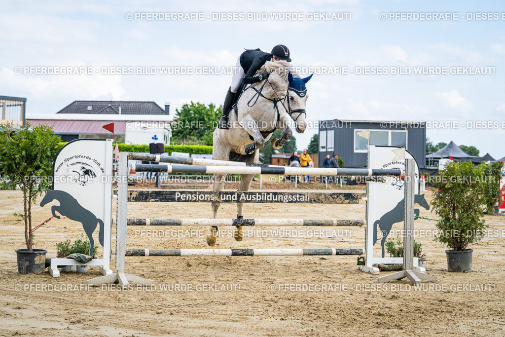 DSC07016 | Pferdegrafie