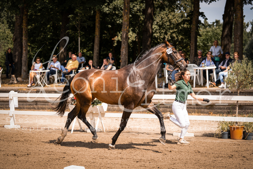 1.Fr00090 | Leoni Ertmer Photography - Realisiert mit Pictrs.com