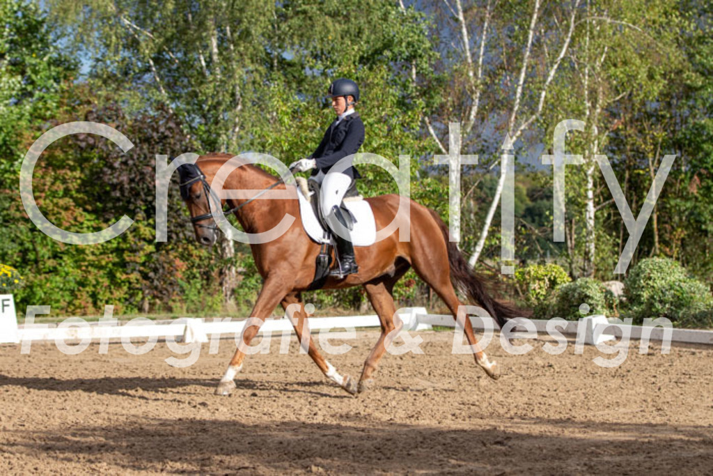 IMG_4768 | Creatify Fotografie