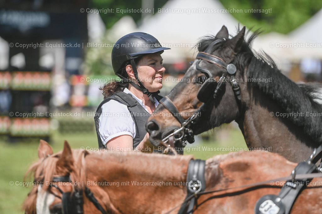 20230528_Jump-and-Drive_0243 | equistock