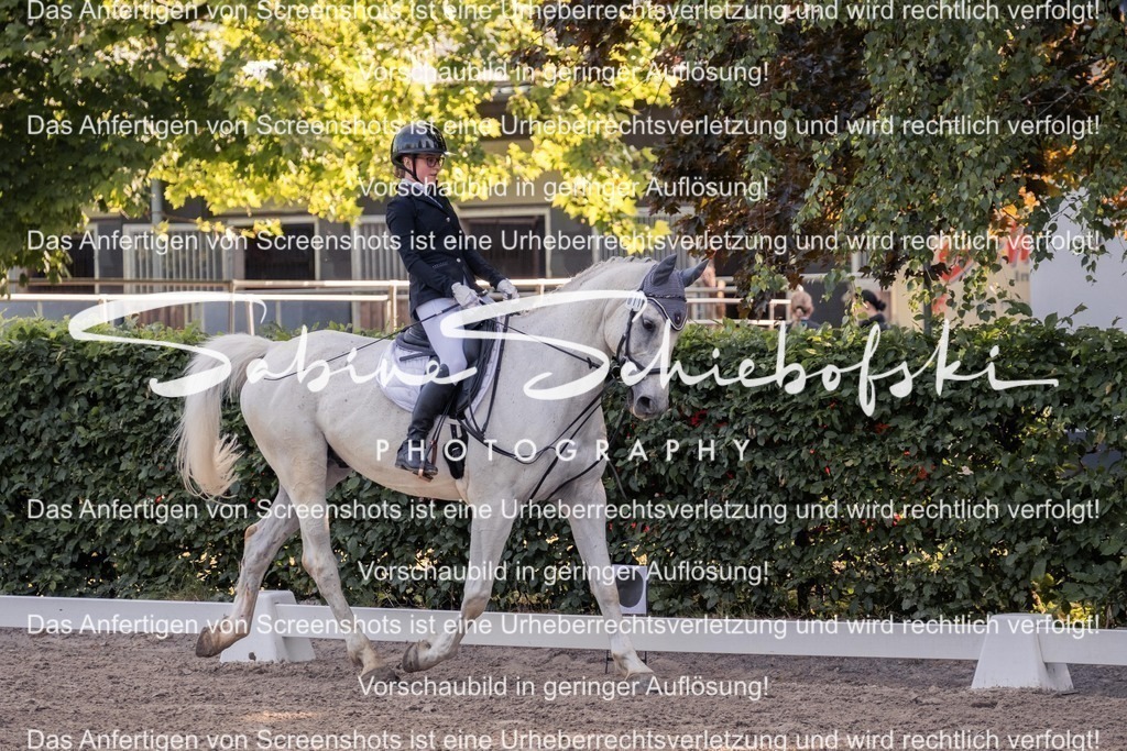 2025_05_31_DSCF2610 | People- und Tierfotografie, Imageaufnahmen, Veranstaltungsfotografie und Wandbilder aus der Natur ★ Made in Germany ✔️ Druck + Downloads ✔️ Naturfotografie in Top Qualität ★ schneller Versand, weltweite Lieferung! - Realisiert mit Pictrs.com