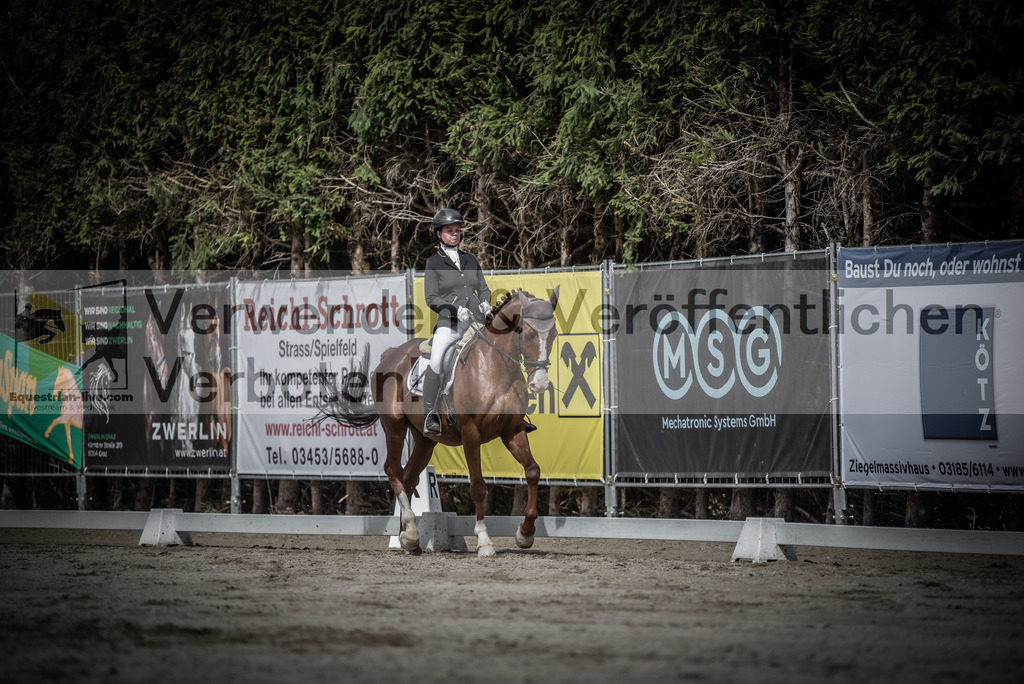 DSC_2982 | equestrian-live-com