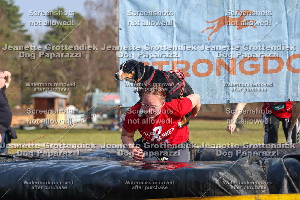 Dog Paparazzi - Strongdog North Mrz26-2559 | Dog Paparazzi Jeanette Grottendiek Fotografie & Videografie - Realisiert mit Pictrs.com