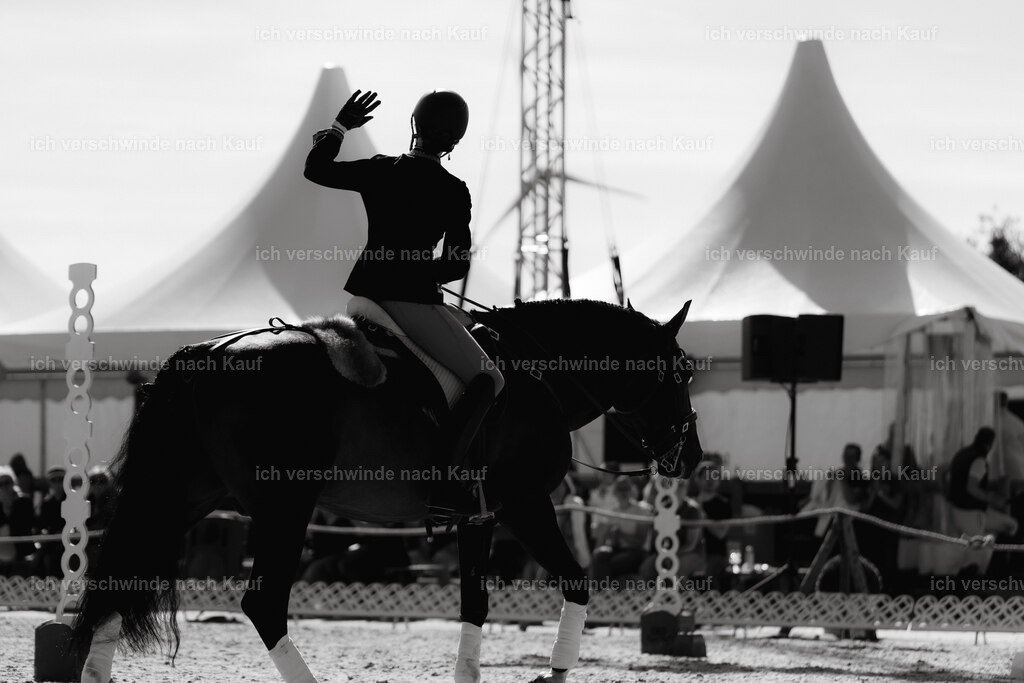 Virginie12FHC2025-09177 | working equitationturnier fotograf videograf stoibphotography marixx film working equitation deutschland reitsport turnierfotografie eventfotografie equestrian events