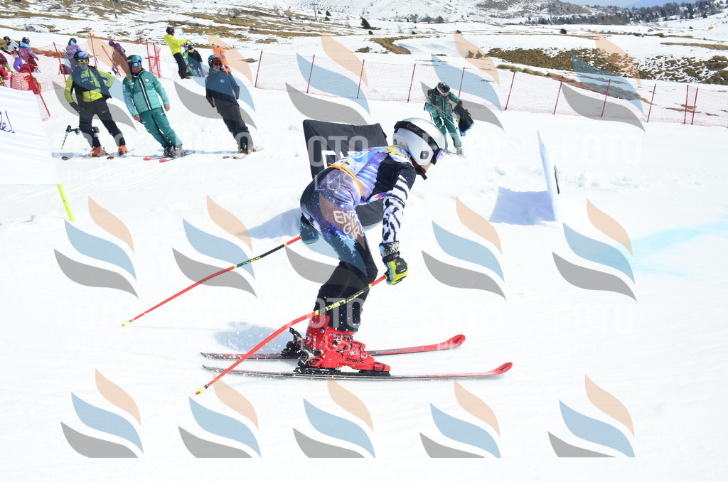 _ELE1599 | holidayphoto