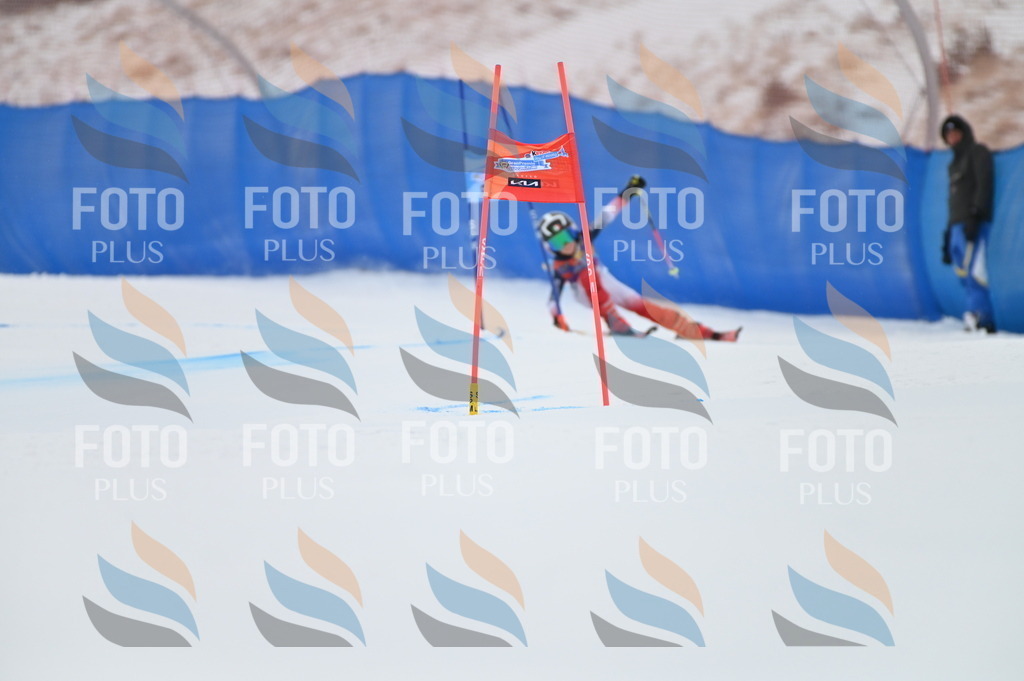 BGV_9969 | holidayphoto