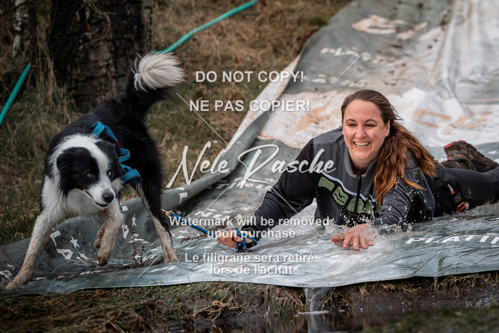 nelerasche_1330-1400_239 | nelerasche