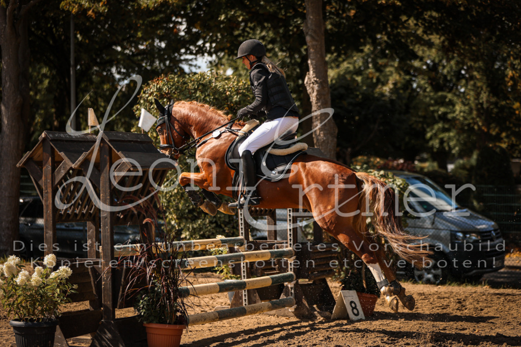 05.SaSpE00340 | Leoni Ertmer Photography - Realisiert mit Pictrs.com